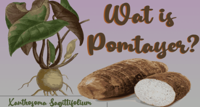 Een Culinaire Reis door de Tijd: De Verweven Geschiedenis van de Surinaamse Keuken